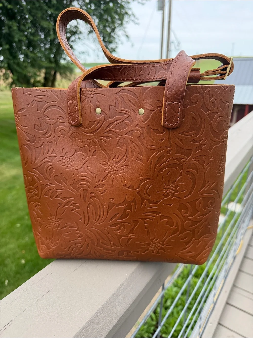 New Portland Leather Mini Crossbody Snap Tote in Meadow